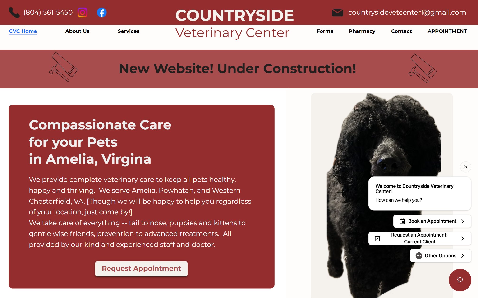 Countryside Vet on desktop