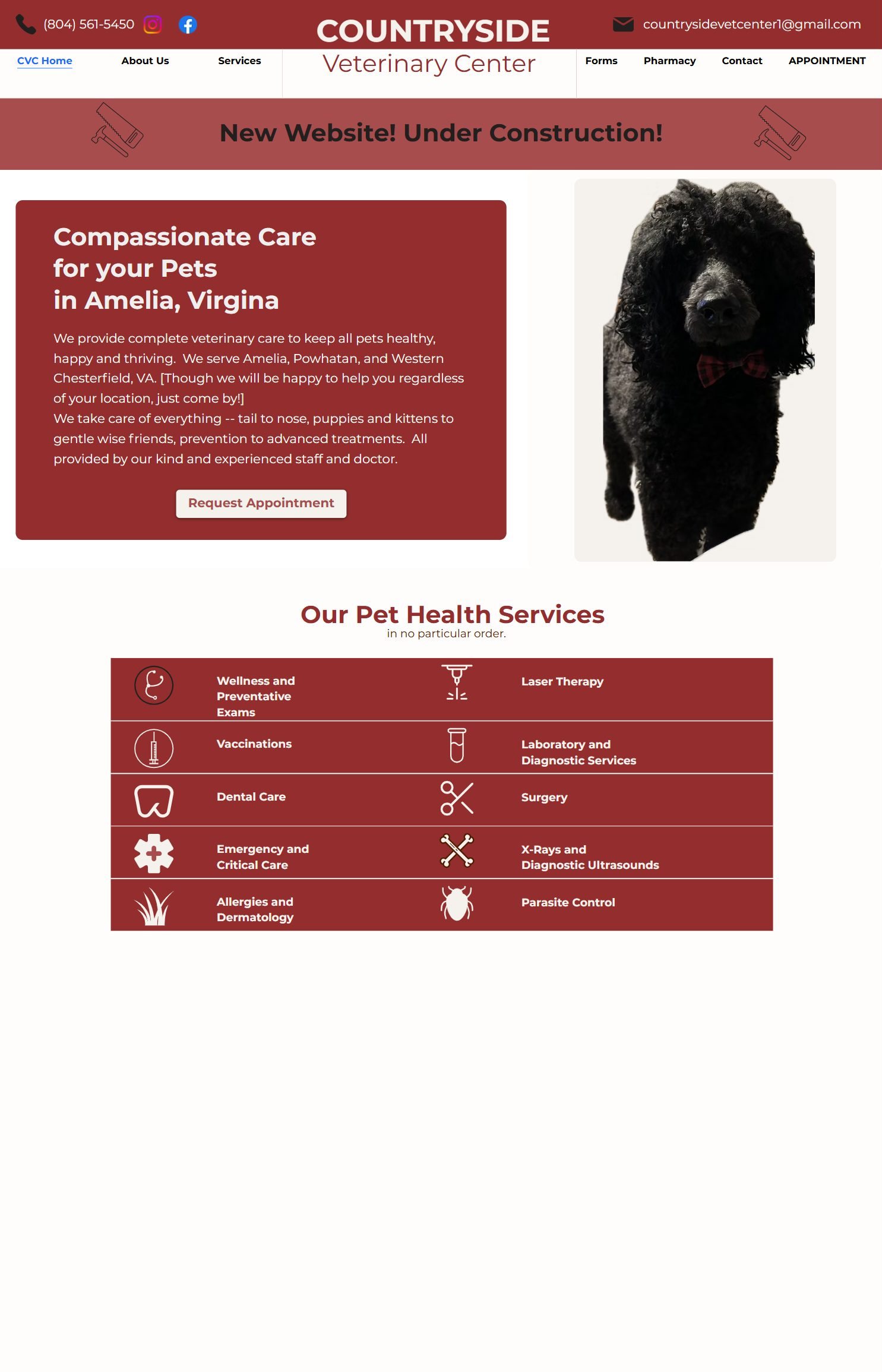 Countryside Vet website